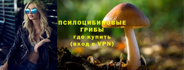 хмурый Магас