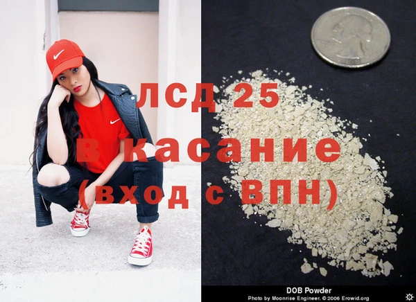 хмурый Магас