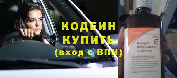 хмурый Магас