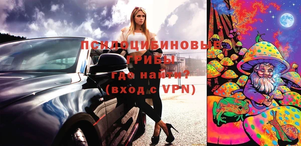 хмурый Магас