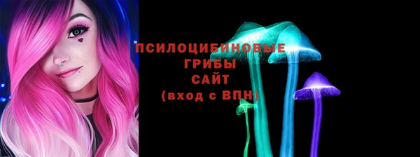 хмурый Магас