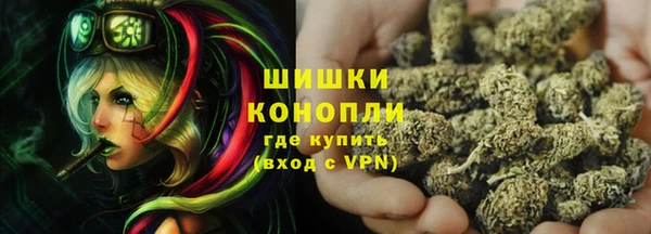 хмурый Магас