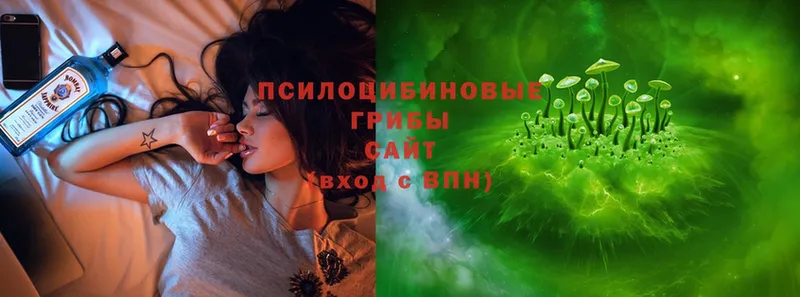 Галлюциногенные грибы Psilocybe Шацк