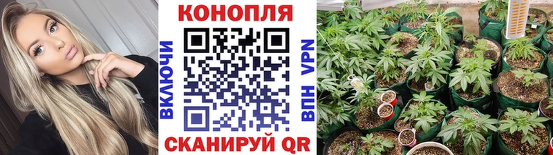 Канабис Amnesia Шацк